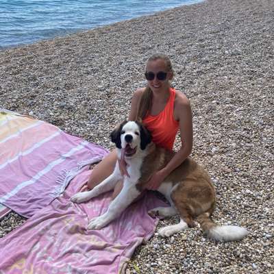 Hundetreffen-Spielen in Winti