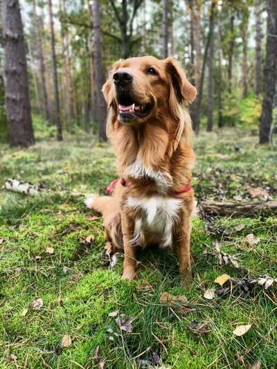 Theos Fotochallenge Nr. 3-Beitrag-Bild