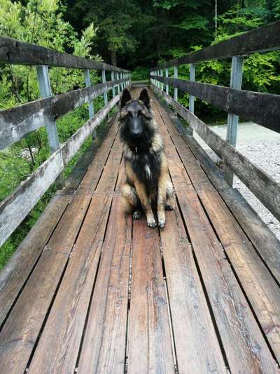 Postet eure schönsten Bilder von Spaziergängen in 2020!-Beitrag-Bild