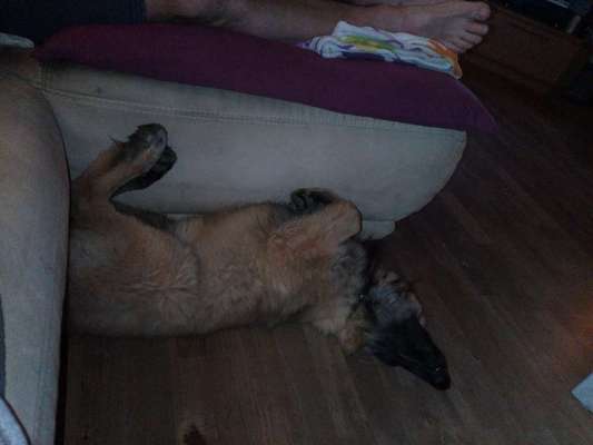 Die unbequemsten und lustigsten Schlafpositionen-Beitrag-Bild