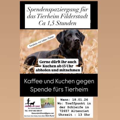 Hundetreffen-Spendenspaziergang-Bild