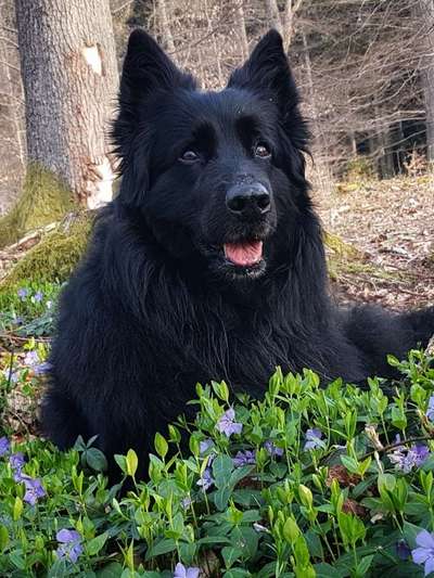 Fotochallenge 78

Es grünt und blüht-Beitrag-Bild