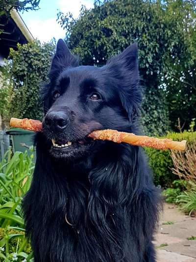 Fotochallenge Nr. 64-Beitrag-Bild