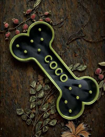 %{de_profession_title}-Hunde Napf mit Wunsch Name & Farbe-Bild