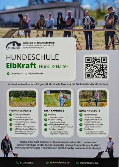 Hundetreffen-Hundeschule zwischen Wittenberge und Dömitz-Bild