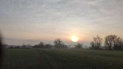 Hundeauslaufgebiet-Hochheimer Mainwiese-Bild