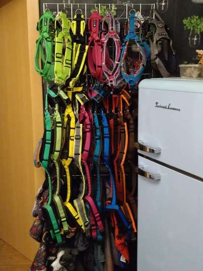 Wieviel Geschirre und Leinen habt Ihr?-Beitrag-Bild