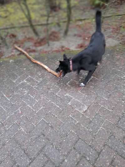 Spieltrieb ;)-Beitrag-Bild