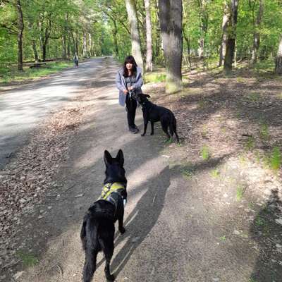 Spieltrieb ;)-Beitrag-Bild