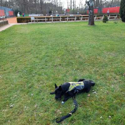 Fotochallenge No. 26                                     Wald und Wiese-Beitrag-Bild