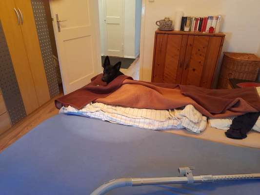 Lieblingsbild :D-Beitrag-Bild