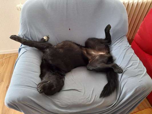 Lieblingsbild :D-Beitrag-Bild