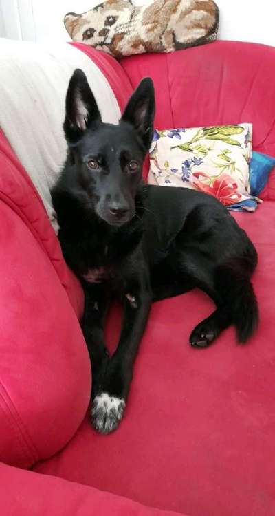 Klischeedenken einiger Menschen-Beitrag-Bild