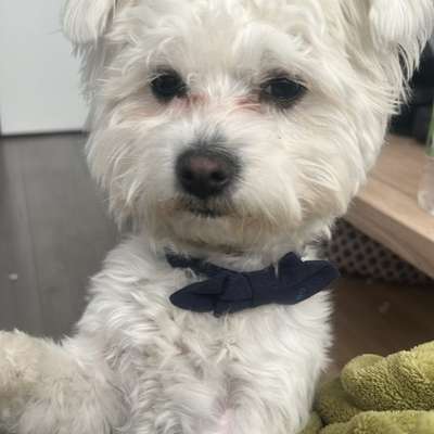 Angst überwinden ! Wie ???-Beitrag-Bild