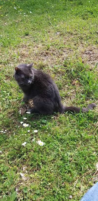 Impfen ja oder nein?-Beitrag-Bild