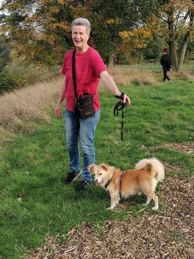 Hundetreffen-Gassigänger gesucht-Bild