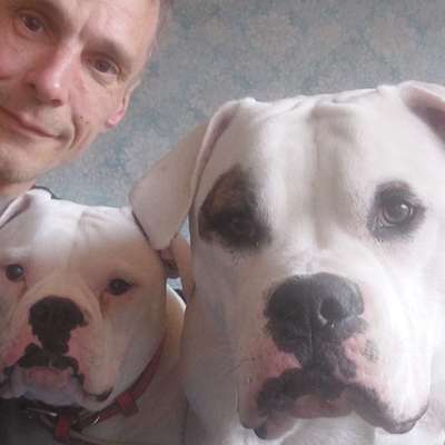 Hundetreffen-Gemeinsames Trainieren