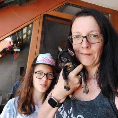 Hundetreffen-Welpentreffen-Profilbild