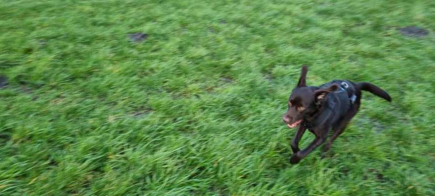 Fotochallange 84-Beitrag-Bild