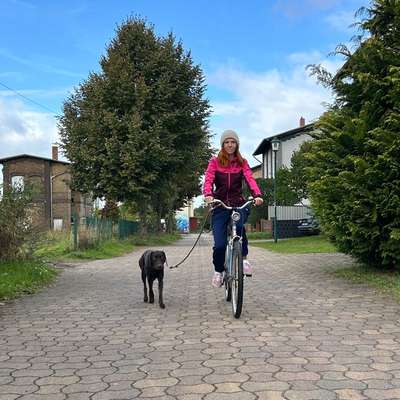 Hundetreffen-Hundefreund/Freundin gesucht-Bild
