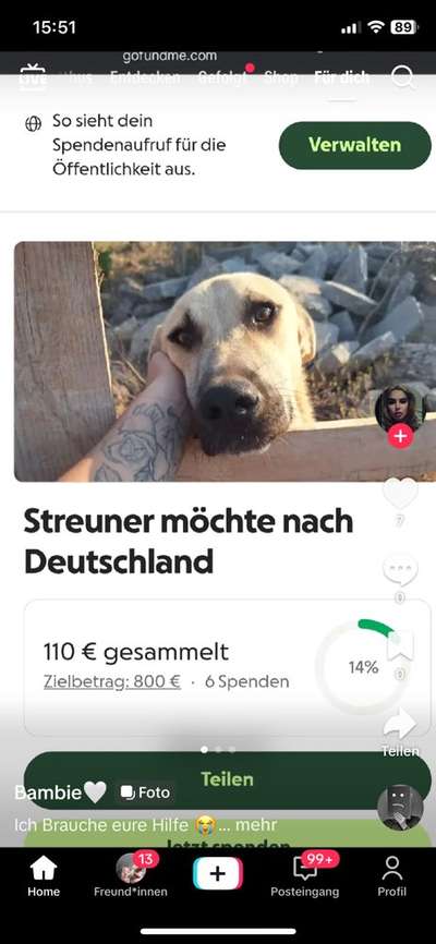 🐾 Vom Tierschutz misshandelt: Wie gestellte Tierrettungen unser Vertrauen zerstören 🤬-Beitrag-Bild