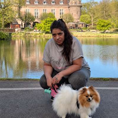 Hundetreffen-Suche Sozialkontakte für meine zwergspitz Hündin-Bild