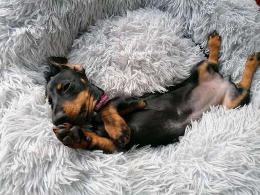 Erfahrung mit Wolkenbett-Beitrag-Bild