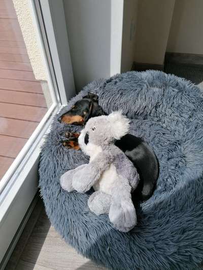 Erfahrung mit Wolkenbett-Beitrag-Bild