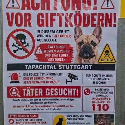 Giftköder-Giftköder Gefahr Tapachtal-Bild