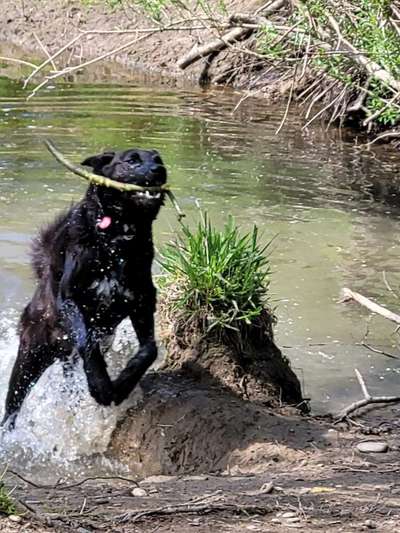 Theos  Fotochallenge Nummer 2-Beitrag-Bild