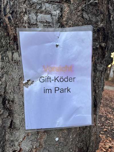 Giftköder-Giftköder in Haunstetten-Bild