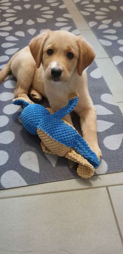 Unser Nachwuchs-Beitrag-Bild