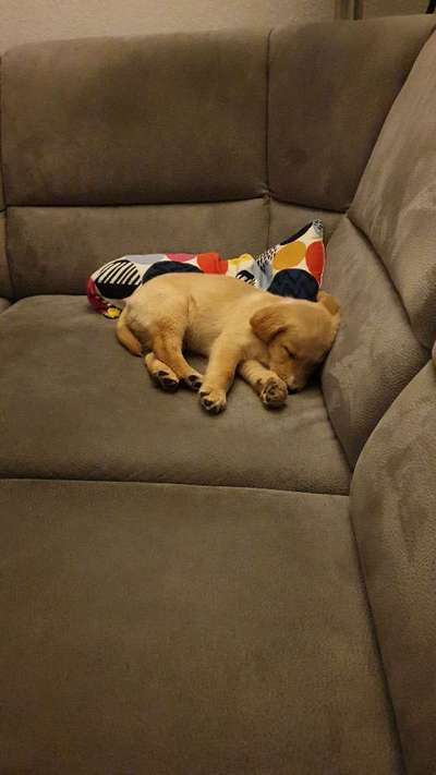 Unser Nachwuchs-Beitrag-Bild