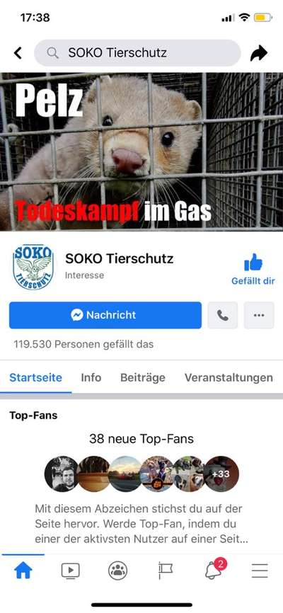 Nachbarin hat ein Hund (Problem dabei ist...)-Beitrag-Bild