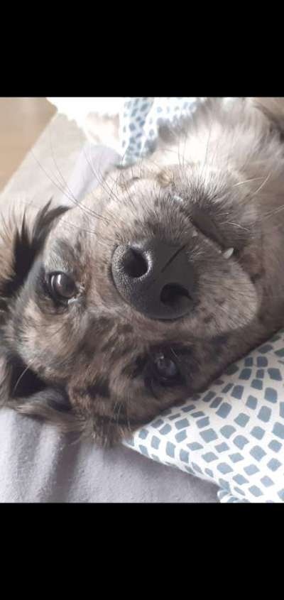 42. Handy Fotochallenge - Den richtigen Riecher haben-Beitrag-Bild