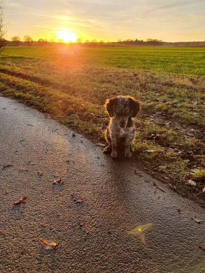 Farben Fotochallenge Sonnenlicht-Beitrag-Bild