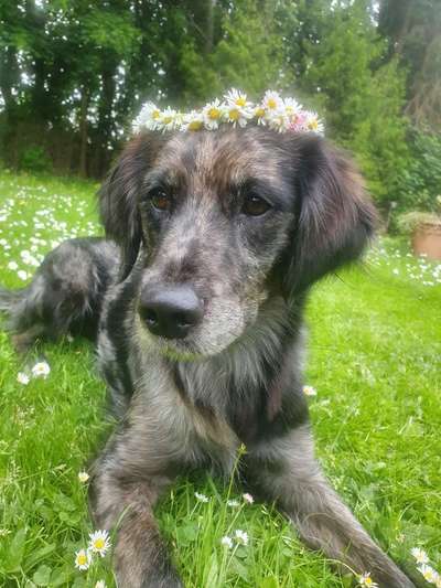 Farben Fotochallenge Thema ,,Grün"-Beitrag-Bild