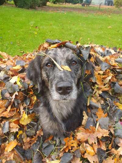 Fotochallenge 129-Beitrag-Bild