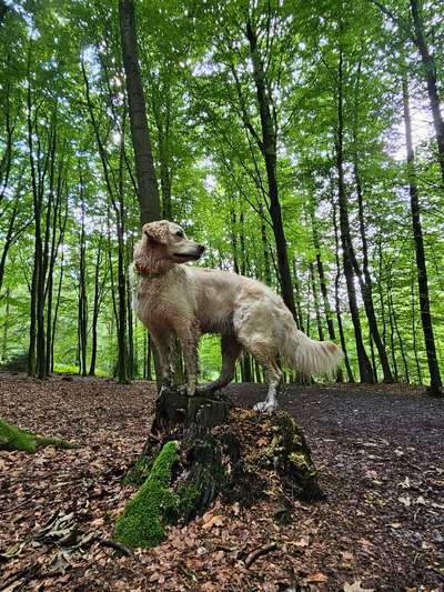 149. Foto Challenge: Wer ist hier der Boss!-Beitrag-Bild