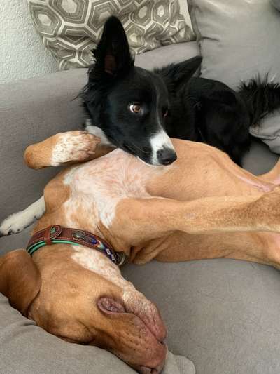 Fotochallenge liebespaare-Beitrag-Bild