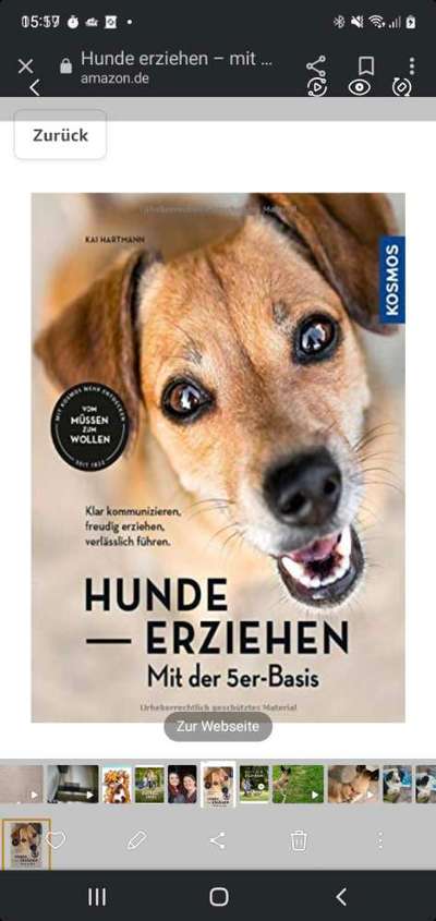 Frage!! mein Hund bellt seit kurzem alle Hunde (aggressiv) an-Beitrag-Bild