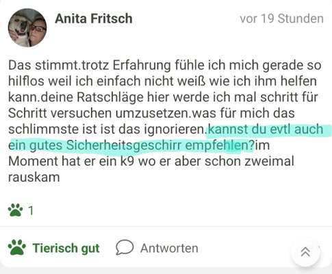 Erziehungsfrage-Beitrag-Bild