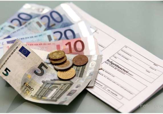 Wie heißt dein Hund?-Beitrag-Bild