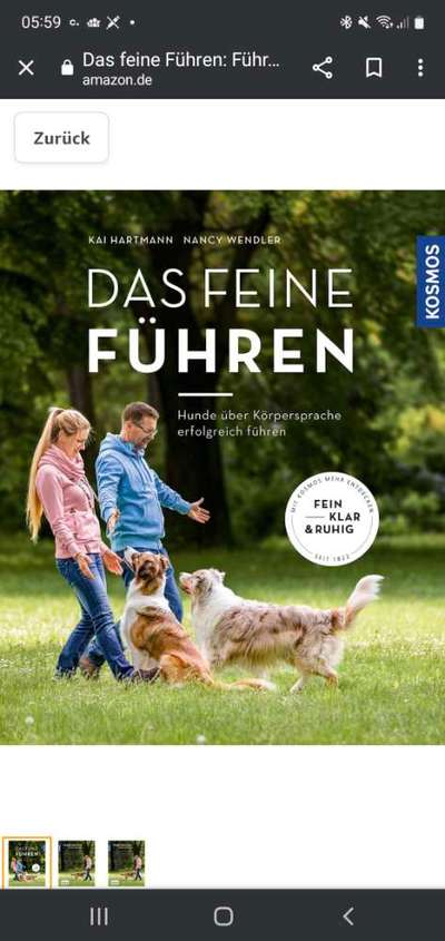 Welpe bellt andere Hunde an-Beitrag-Bild