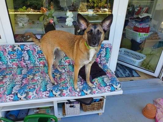 Ist das ein...?-Beitrag-Bild