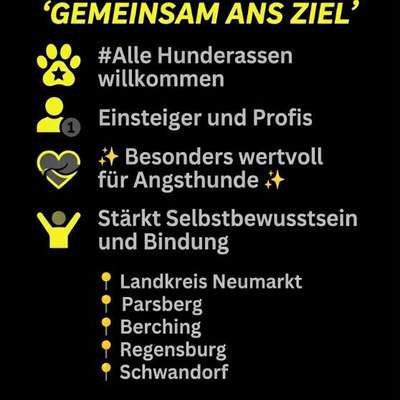 Hundetreffen-Die Welt durch die Nase sehen-Bild