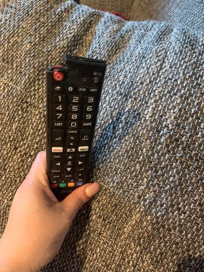 Zeig mir, dass du mit einem hund zusammenlebst....-Beitrag-Bild