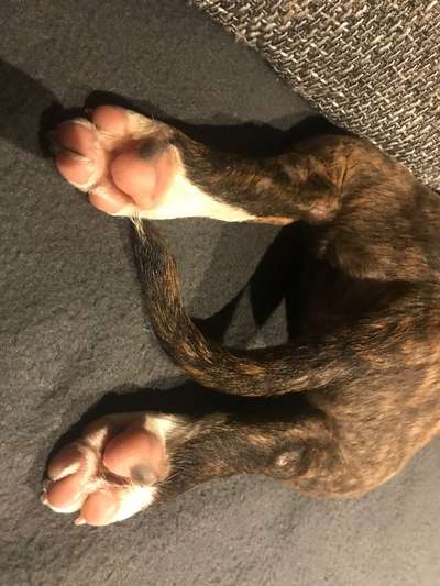 Blick fürs Detail!-Beitrag-Bild