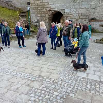 Hundetreffen-Dackeltreffen auch kleine Hunde sind willkommen-Bild