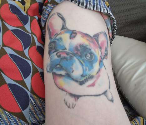 Französische Bulldoggen-Beitrag-Bild